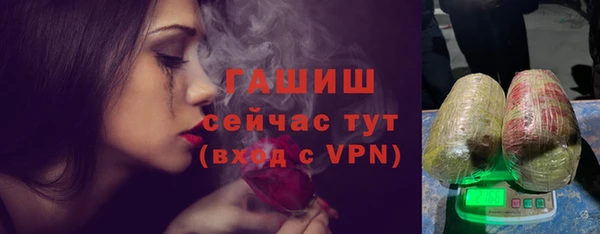 молекула духа Арсеньев
