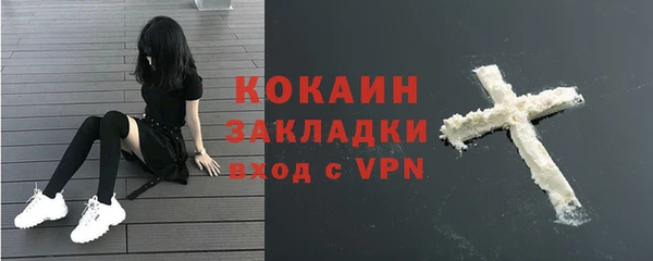 молекула духа Арсеньев