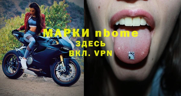 молекула духа Арсеньев