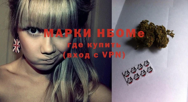 молекула духа Арсеньев