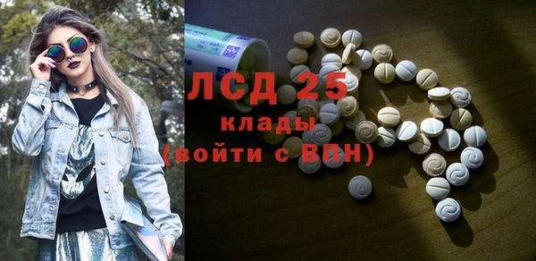 молекула духа Арсеньев
