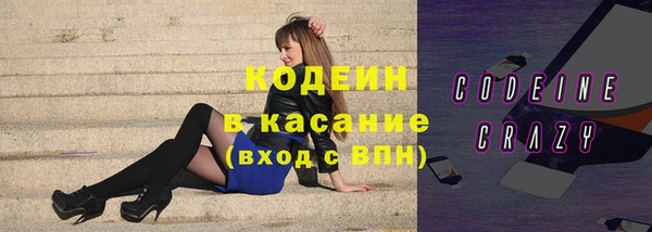 молекула духа Арсеньев