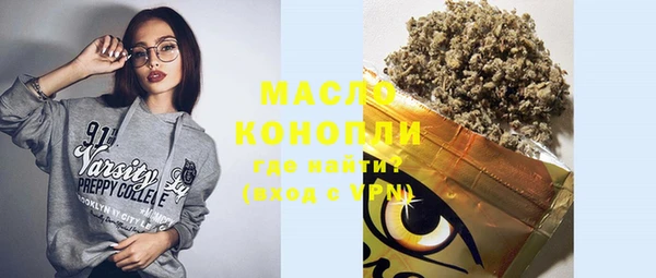 молекула духа Арсеньев