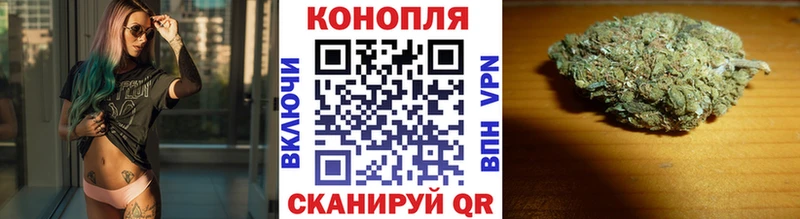 где купить наркоту  darknet какой сайт  Бошки Шишки OG Kush  Семилуки 